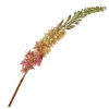 THUN Eremurus rosa* Altri Oggetti Decorativi