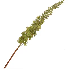 THUN Eremurus verde* Altri Oggetti Decorativi