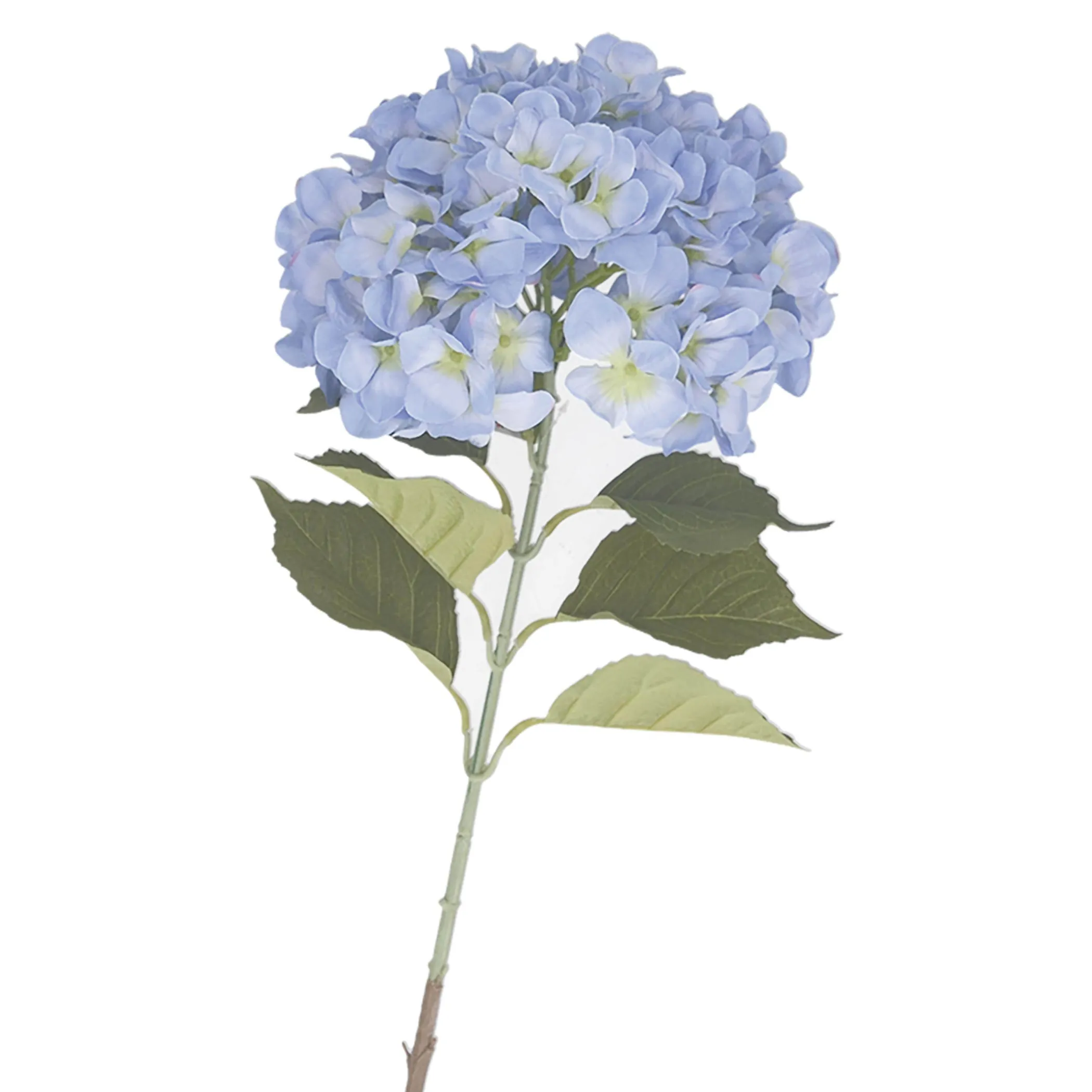 THUN Ortensia azzurra* Altri Oggetti Decorativi|Vasi E Coprivasi