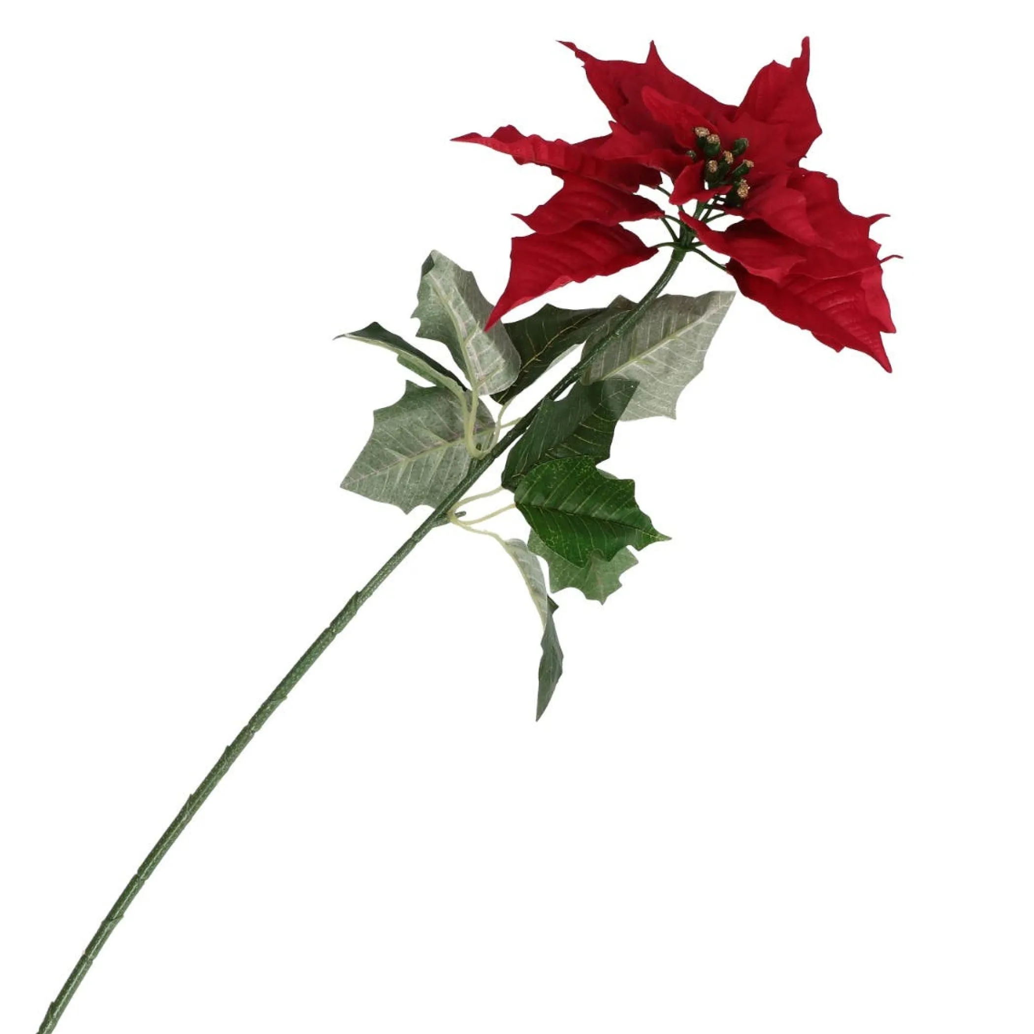 THUN Stella di Natale* Altri Oggetti Decorativi